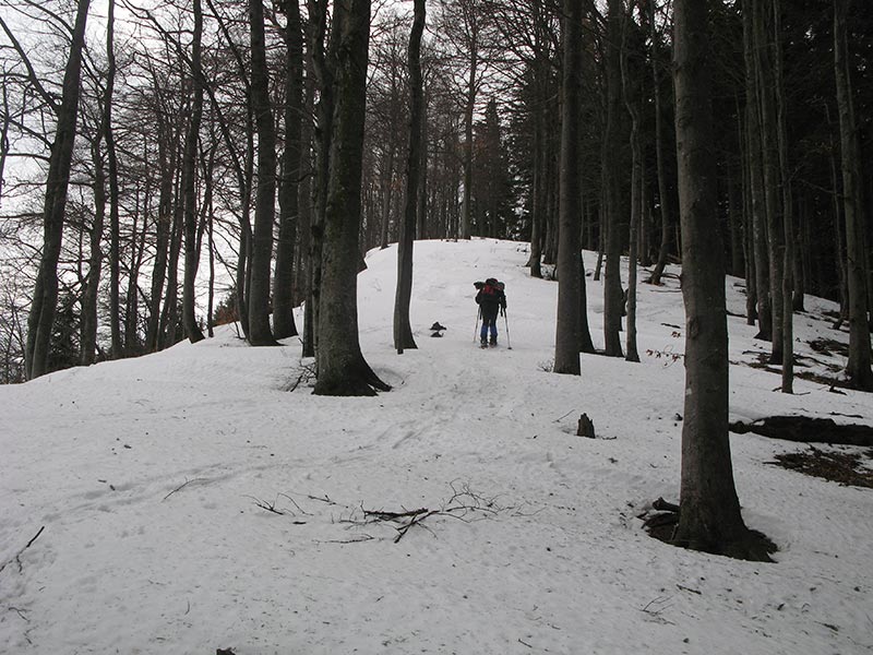 hochstadelberg